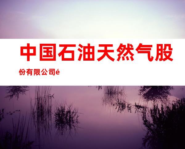 中国石油天然气股份有限公司青海西宁销售分公司大通平大湟加油站